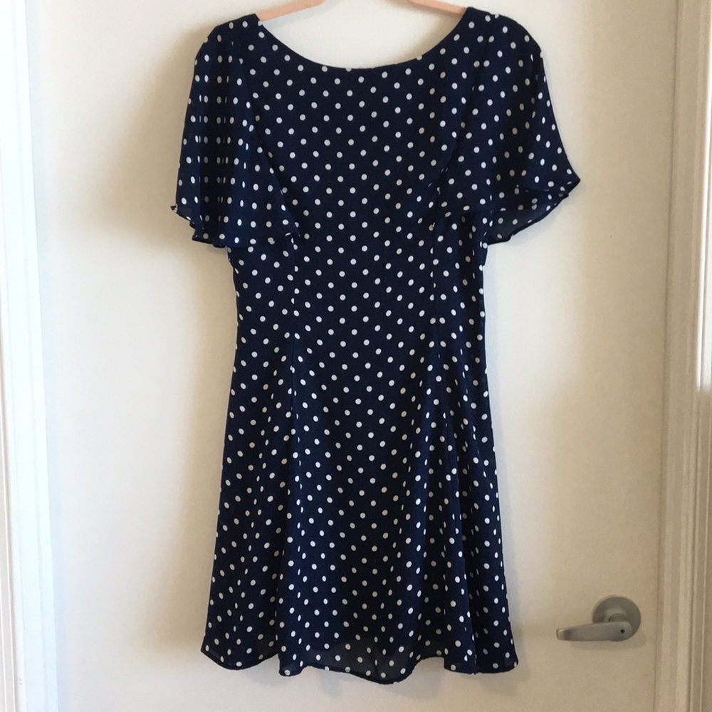 Zara Blue and White Polka Dot Spring Dress